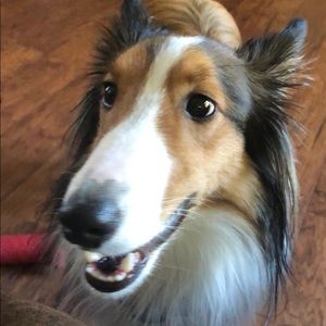 Meet your Posher, Mike